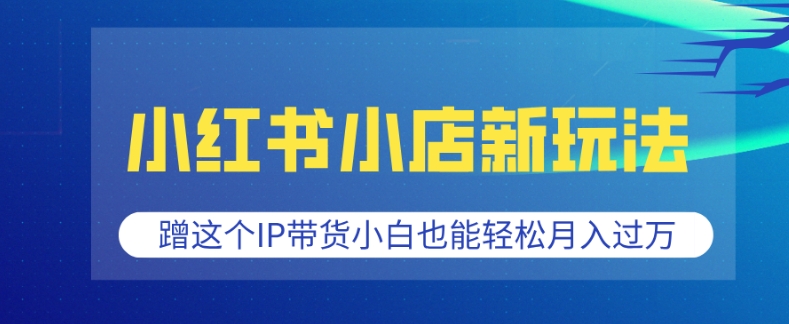 小红书小店新玩法，蹭这个IP带货，小白也能轻松月入过W【揭秘】-葛仙仙资源库