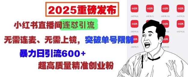 2025重磅发布：小红书直播间连怼引流，无需连麦、无需上镜，突破单号限制，暴力日引流600+-葛仙仙资源库