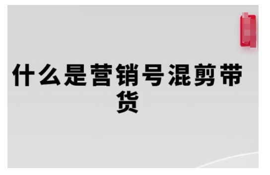 营销号混剪带货，从内容创作到流量变现的全流程，教你用营销号形式做混剪带货-葛仙仙资源库