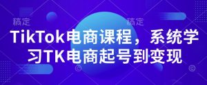 TikTok电商课程,系统学习TK电商起号到变现-葛仙仙资源库