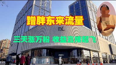 蹭胖东来流量，三天涨万粉，收益直接起飞-葛仙仙资源库