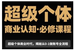 超级个体商业认知觉醒视频课,商业认知·必修课程揭秘从0-1账号全流程-葛仙仙资源库