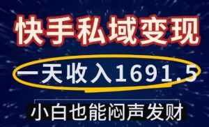 一天收入1691.5,快手私域变现,小白也能闷声发财-葛仙仙资源库