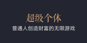 超级个体:2024-2025翻盘指南,普通人创造财富的无限游戏-葛仙仙资源库