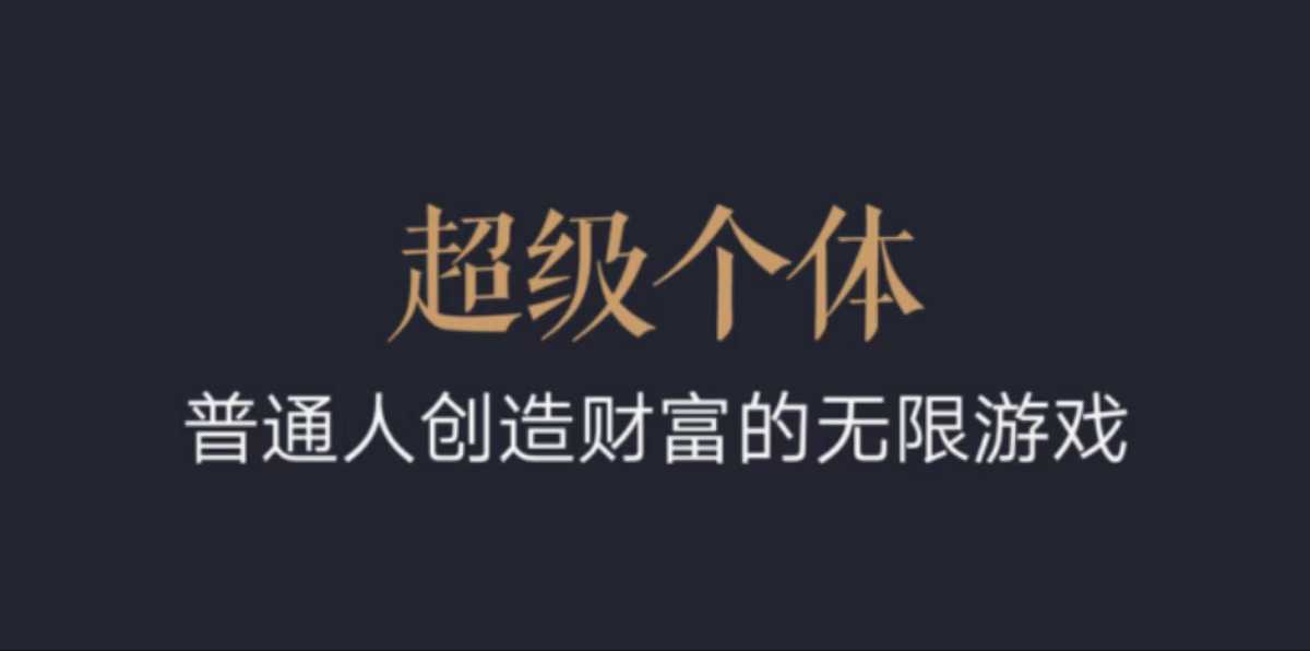 超级个体：2024-2025翻盘指南，普通人创造财富的无限游戏-葛仙仙资源库