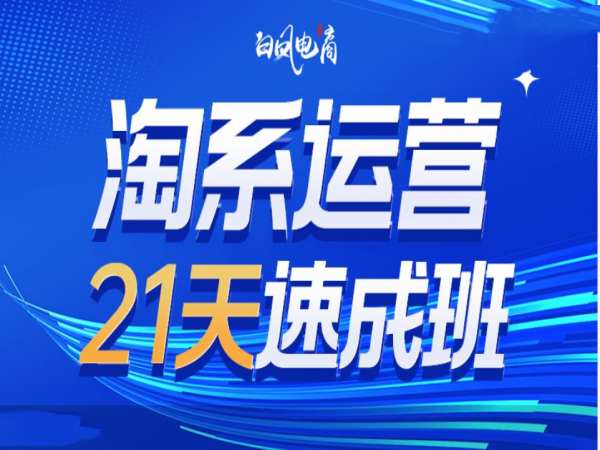 淘系运营21天速成班35期，年前最后一波和2025方向-葛仙仙资源库