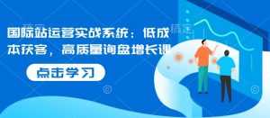 国际站运营实战系统:低成本获客,高质量询盘增长课-葛仙仙资源库