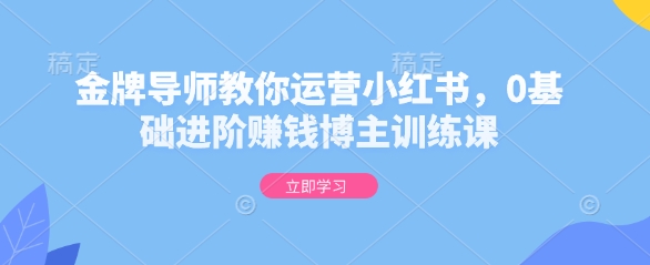 金牌导师教你运营小红书，0基础进阶赚钱博主训练课-葛仙仙资源库