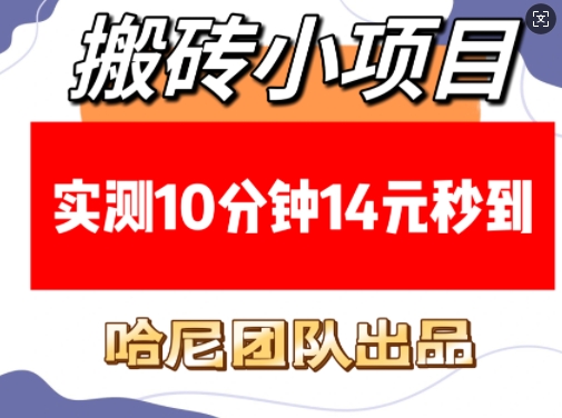 搬砖小项目，实测10分钟14元秒到，每天稳定几张(赠送必看稳定)-葛仙仙资源库