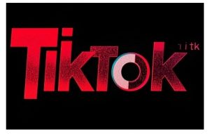 TikTok ads投流秘籍,涵盖tiktok整体投放思路,教你搭建测试计划-葛仙仙资源库