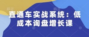 直通车实战系统:低成本询盘增长课,让个人通过技能实现升职加薪,让企业低成本获客,订单源源不断-葛仙仙资源库