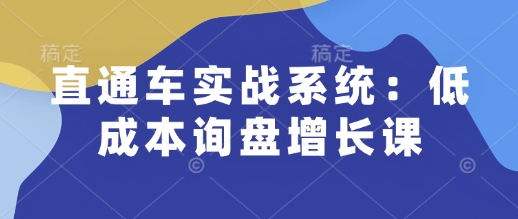 直通车实战系统：低成本询盘增长课，让个人通过技能实现升职加薪，让企业低成本获客，订单源源不断-葛仙仙资源库