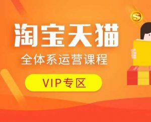 淘宝天猫全体系运营课程：店铺全系运营、动销玩法、付费推广、流量提升、擦边球玩法等等-葛仙仙资源库