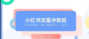 小红书流量冲刺班2025,最懂小红书的女人,快速教你2025年入局小红书-葛仙仙资源库