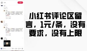 小红书评论区留言,1元条,没有要求,没有上限-葛仙仙资源库