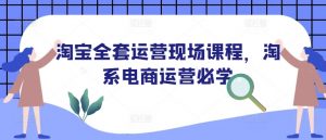 淘宝全套运营现场课程,淘系电商运营必学-葛仙仙资源库