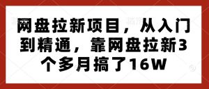 网盘拉新项目,从入门到精通,靠网盘拉新3个多月搞了16W-葛仙仙资源库