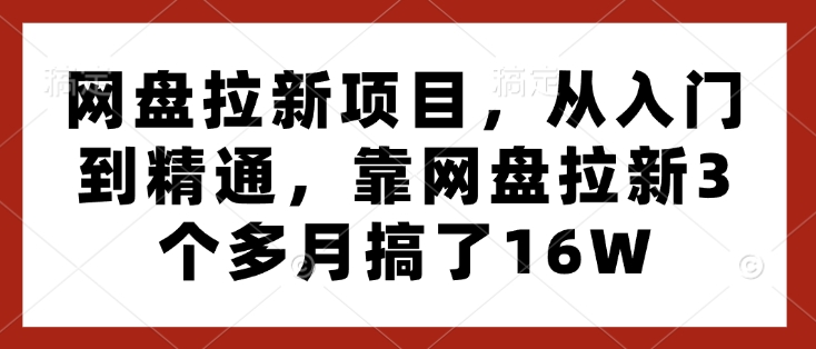 网盘拉新项目，从入门到精通，靠网盘拉新3个多月搞了16W-葛仙仙资源库