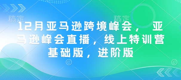 12月亚马逊跨境峰会， 亚马逊峰会直播，线上特训营基础版，进阶版-葛仙仙资源库