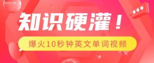 知识硬灌,1分钟教会你,利用AI制作爆火10秒钟记一个英文单词视频-葛仙仙资源库