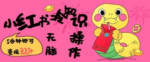小红书冷知识账号,无脑复制粘贴,5分钟即可变现3张-葛仙仙资源库