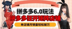 拼多多虚拟商品暴利6.0玩法,轻松实现月入过W-葛仙仙资源库