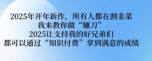2025年开年新作,所有人都在割韭菜,我来教你做“镰刀” 2025让支持我的好兄弟们都可以通过“知识付费”拿到满意的成绩【揭秘】-葛仙仙资源库