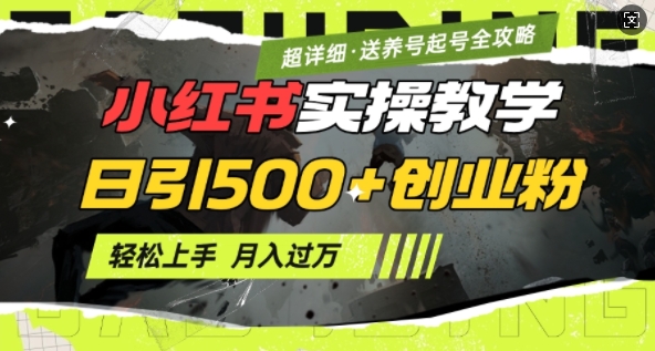 2月小红书最新日引500+创业粉实操教学【超详细】小白轻松上手，月入1W+，附小红书养号起号SOP-葛仙仙资源库