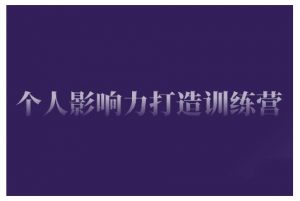 个人影响力打造训练营,掌握公域引流、私域运营、产品定位等核心技能,实现从0到1的个人IP蜕变-葛仙仙资源库