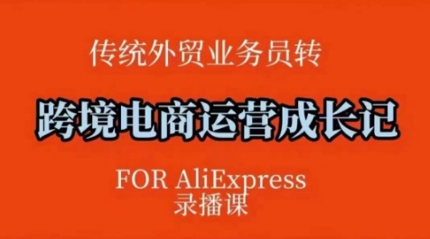 跨境电商速卖通运营课，​运营方法论+后台实操，逻辑清晰-葛仙仙资源库