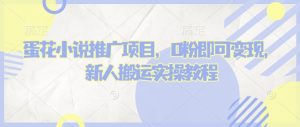 蛋花小说推文项目,0粉即可变现,新人搬运实操教程-葛仙仙资源库