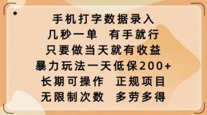 手机打字数据录入,几秒一单,有手就行,只要做当天就有收益,暴力玩法一天低保2张-葛仙仙资源库