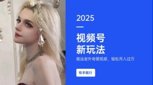 搬运老外奇葩视频,撸视频号分成计划收益,每天只需一小时,新手小白轻松月入过W-葛仙仙资源库
