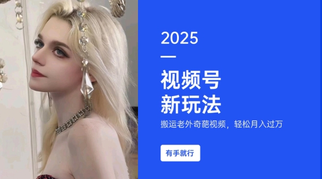 搬运老外奇葩视频，撸视频号分成计划收益，每天只需一小时，新手小白轻松月入过W-葛仙仙资源库