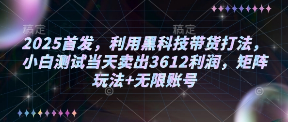 2025首发，利用黑科技带货打法，小白测试当天卖出3612利润，矩阵玩法+无限账号【揭秘】-葛仙仙资源库