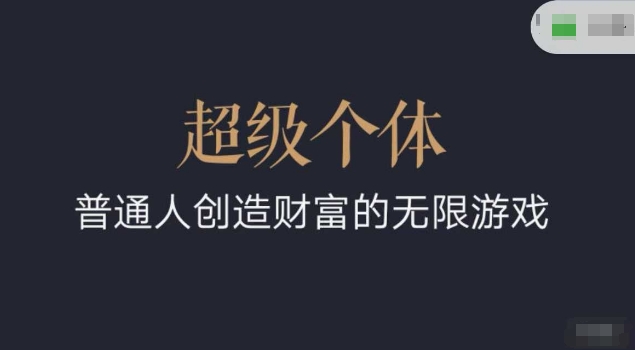 超级个体2024-2025翻盘指南，普通人创造财富的无限游戏-葛仙仙资源库