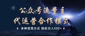 公众号流量主代运营  多种变现方式 轻松日入5张【揭秘】-葛仙仙资源库