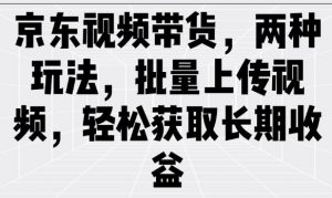 京东视频带货,两种玩法,批量上传视频,轻松获取长期收益-葛仙仙资源库