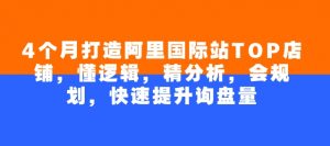 4个月打造阿里国际站TOP店铺,懂逻辑,精分析,会规划,快速提升询盘量-葛仙仙资源库