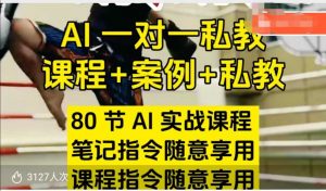 AI指令实战课,课程+案例,80节AI实战课程,笔记指令随意享用,课程指令随意享用-葛仙仙资源库