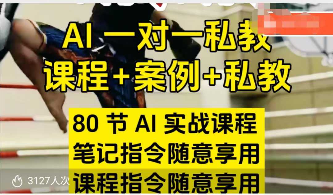 AI指令实战课，课程+案例，80节AI实战课程，笔记指令随意享用，课程指令随意享用-葛仙仙资源库