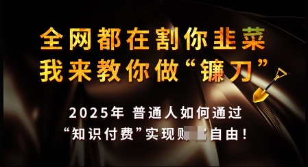 知识付费如何做到月入过W+，2025我来教你做“镰刀”【揭秘】-葛仙仙资源库