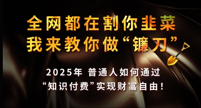 全网都在割你韭菜，我来教你做镰刀，2025年普通人如何通过 知识付费 实现财F自由【揭秘】-葛仙仙资源库