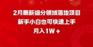 2月最新细分领域落地项目,新手小白也可快速上手,月入1W-葛仙仙资源库