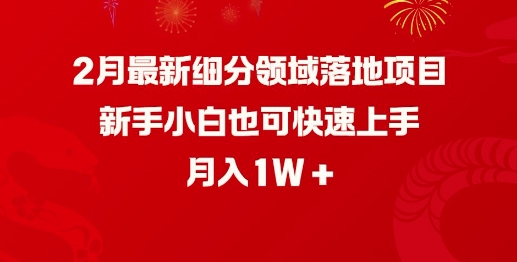 2月最新细分领域落地项目，新手小白也可快速上手，月入1W-葛仙仙资源库