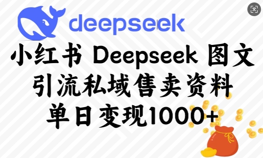 小红书Deepseek图文引流私域售卖资料，单日变现多张-葛仙仙资源库