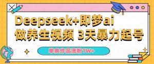 小白用DeepSeek+即梦做ai养生视频,一条作品涨粉5万+,单日收益多张-葛仙仙资源库