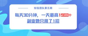 副业她只用了1招,每天30分钟,无脑二创,一天最高1.5k-葛仙仙资源库