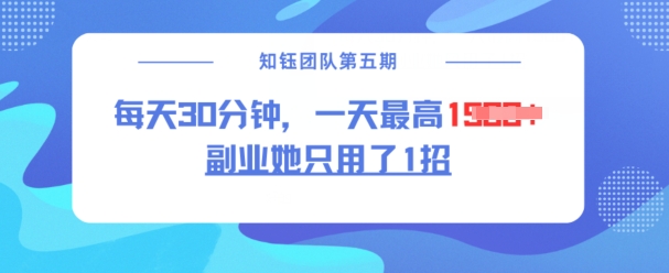 副业她只用了1招，每天30分钟，无脑二创，一天最高1.5k-葛仙仙资源库