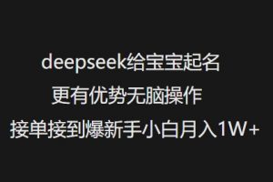 deepseek给宝宝起名更有优势无脑操作接单接到爆新手小白月入1W+-葛仙仙资源库